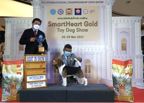 อันดับ 1 บีเกิ้ล อันดับ 1 กรุ๊ป 6 และ Top 20 all breeds